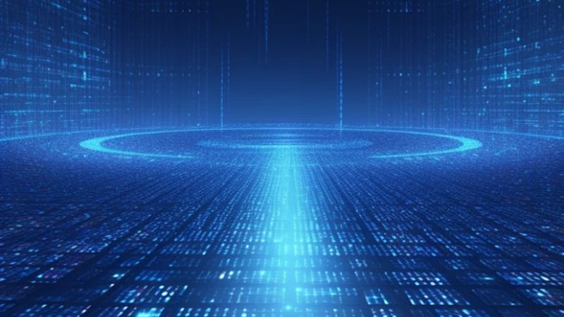 SAP与Oracle供应链软件：性能与架构的深度解析